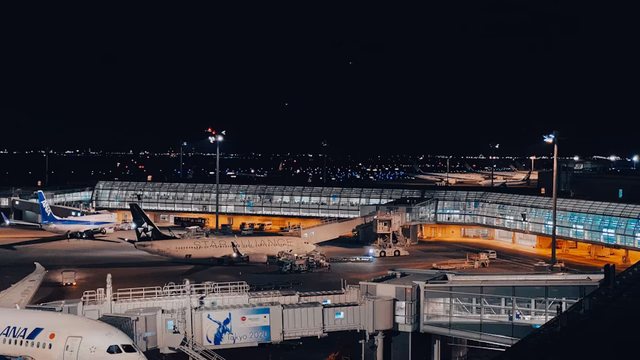 Airport leadership and operations